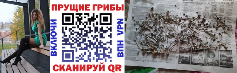 Галлюциногенные грибы мухоморы  купить  цена  Армавир 